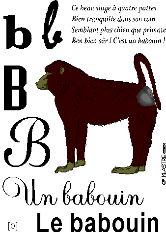 image b-babouin