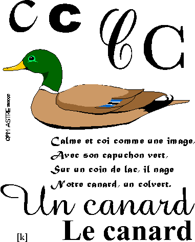 image c-canard