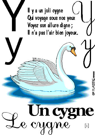 image y-cygne