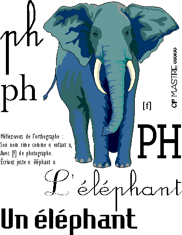 image ph-éléphant