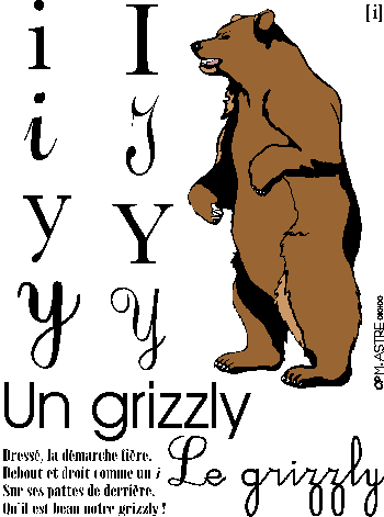 image i/y-grizzly