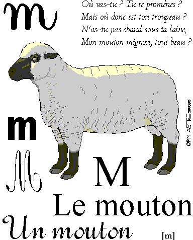 image m-mouton