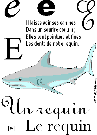 image e-requin