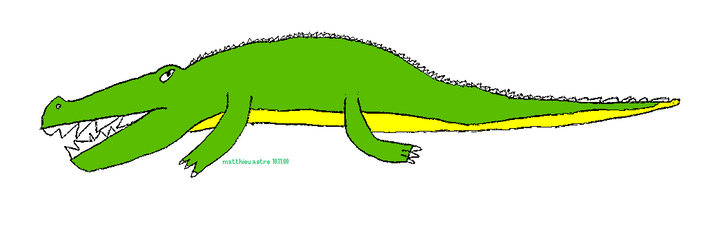 Crocodile (Matthieu 101100)